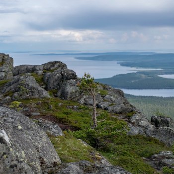 Karjala-Lapimaa reis. Karelia-Lapland Hiking trip. Sandberg Travel