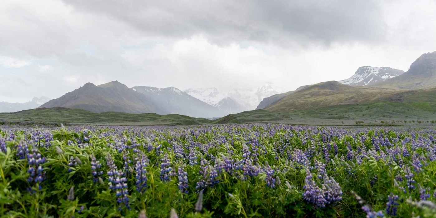 Islandi ringreis